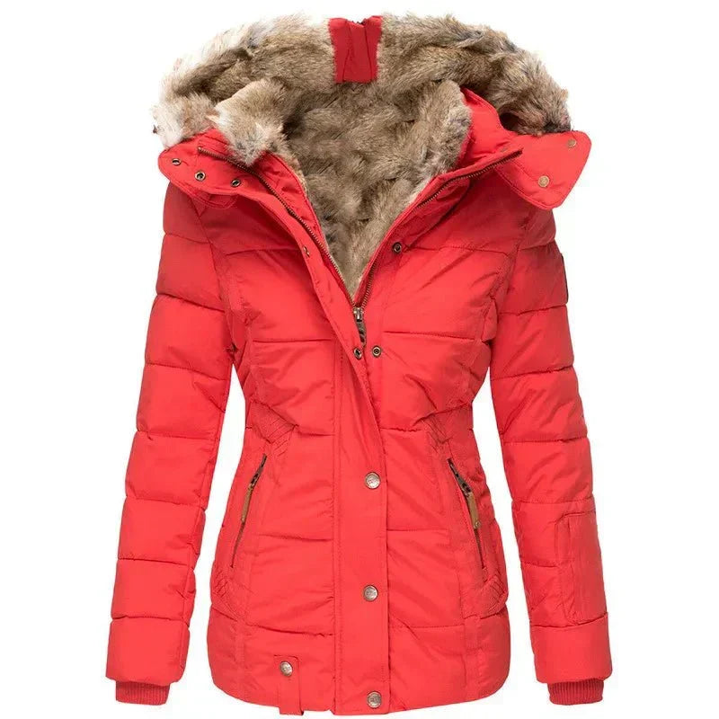 Women's Jacket | Warm Fitted Winter Cut