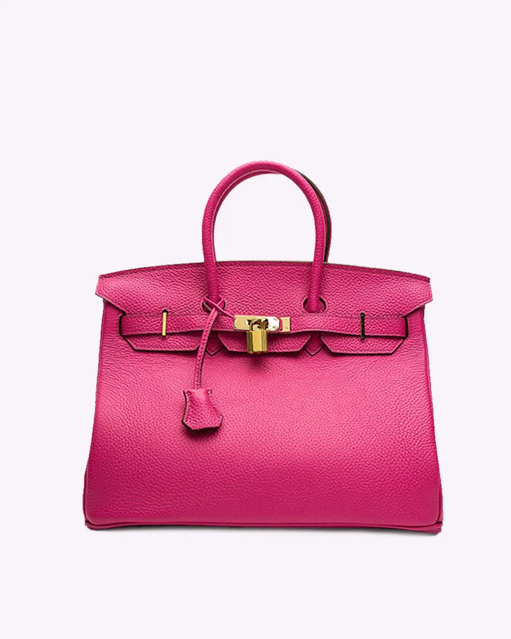 Genuine Leather Twist Lock Multi Pocket Handbag with Gold Hardware for Women