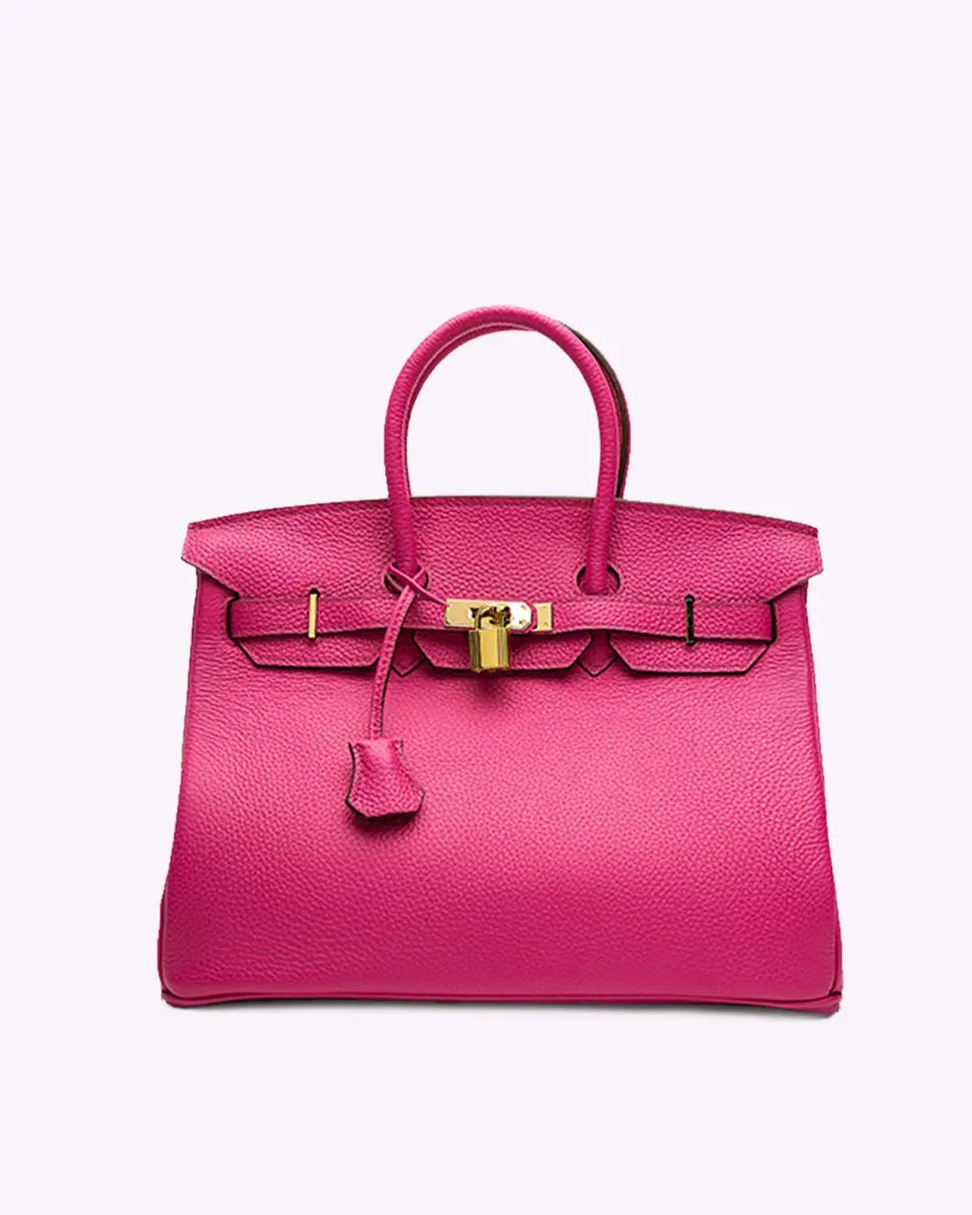 Genuine Leather Twist Lock Multi Pocket Handbag with Gold Hardware for Women