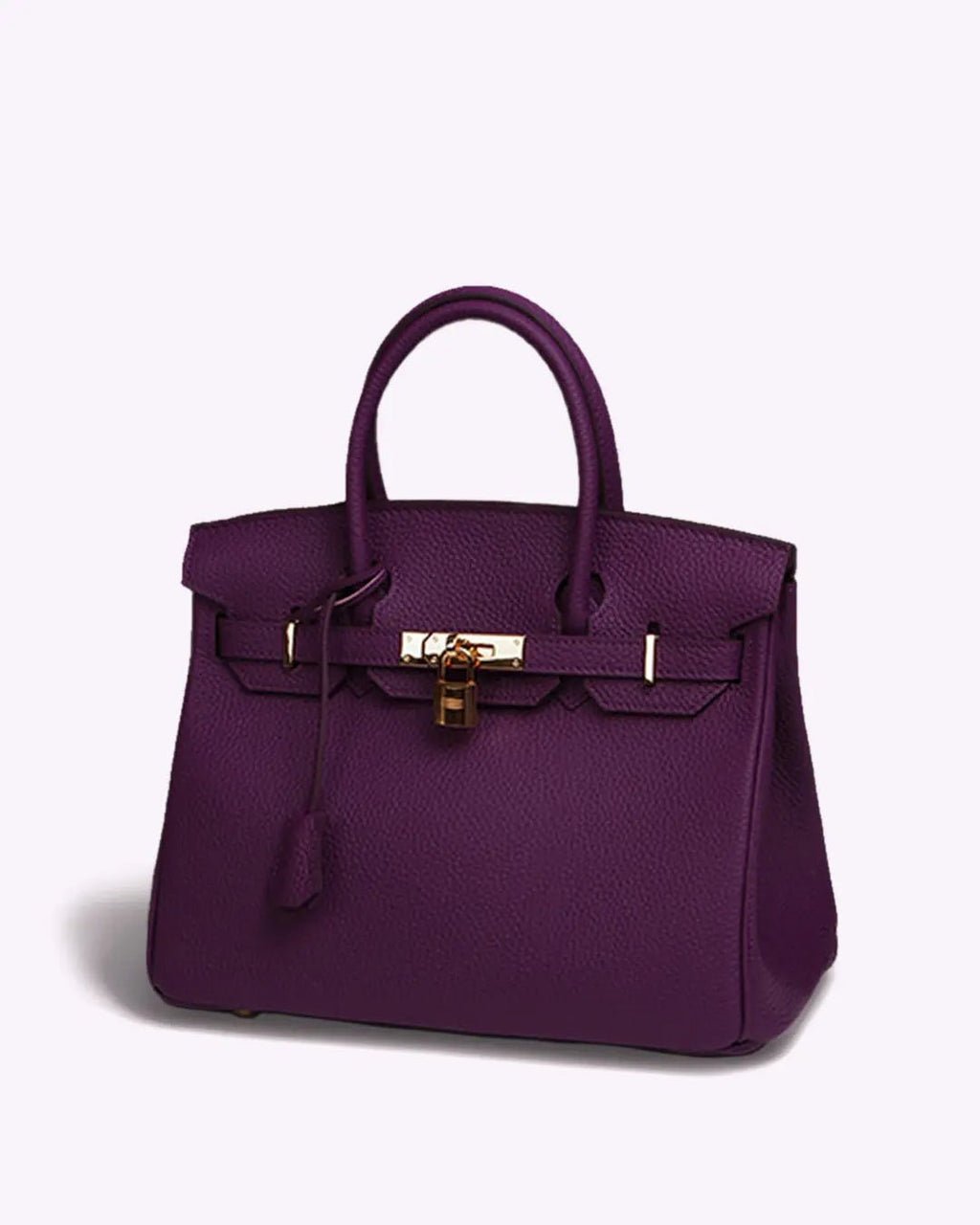 Genuine Leather Twist Lock Multi Pocket Handbag with Gold Hardware for Women