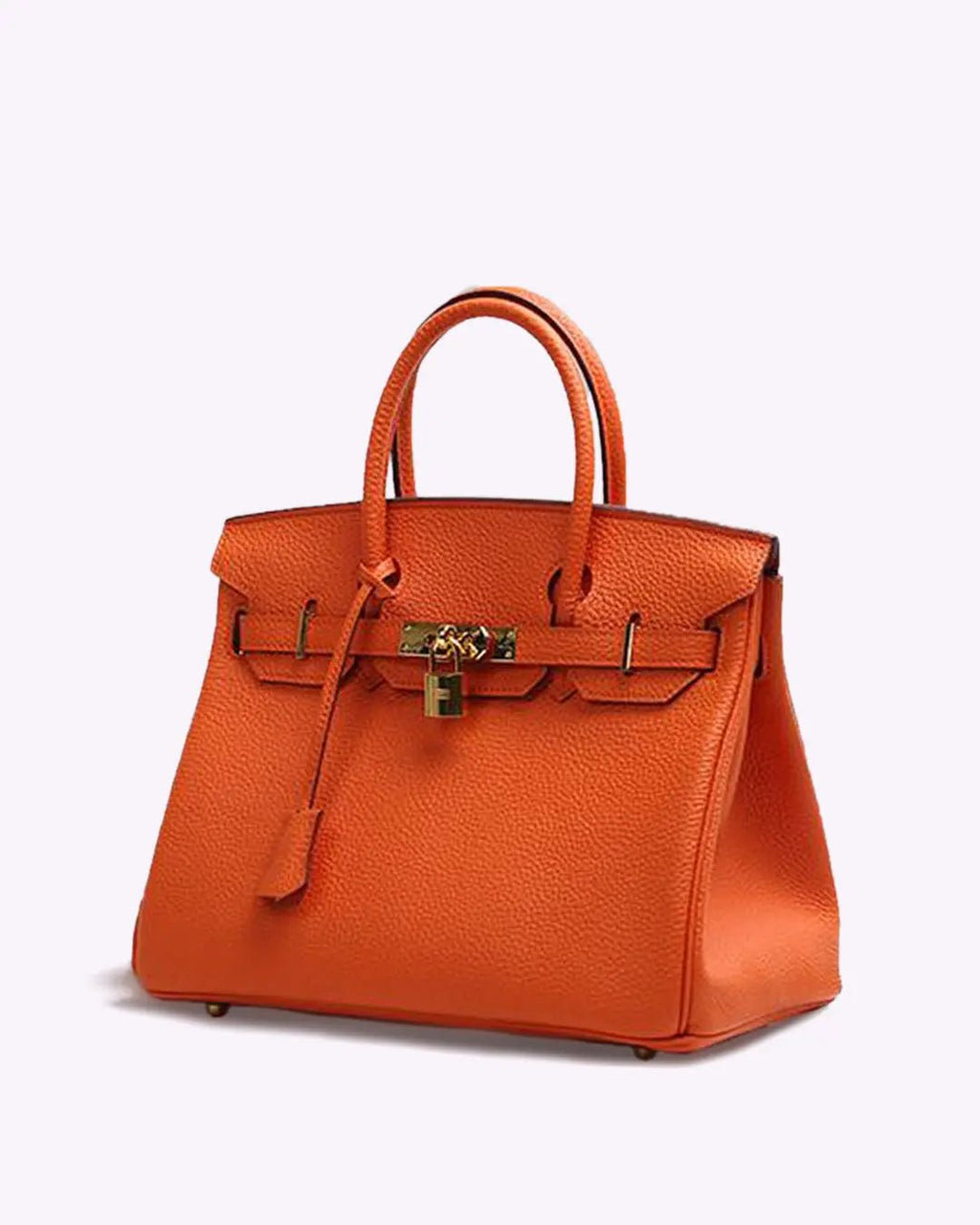 Genuine Leather Twist Lock Multi Pocket Handbag with Gold Hardware for Women