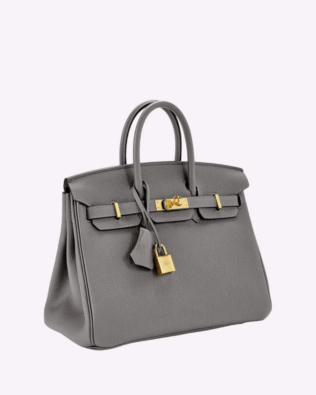 Genuine Leather Twist Lock Multi Pocket Handbag with Gold Hardware for Women